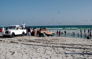 Пляжи Салалы – фотографии Омана