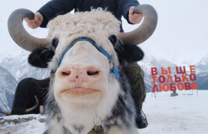 Домбай – фотографии России