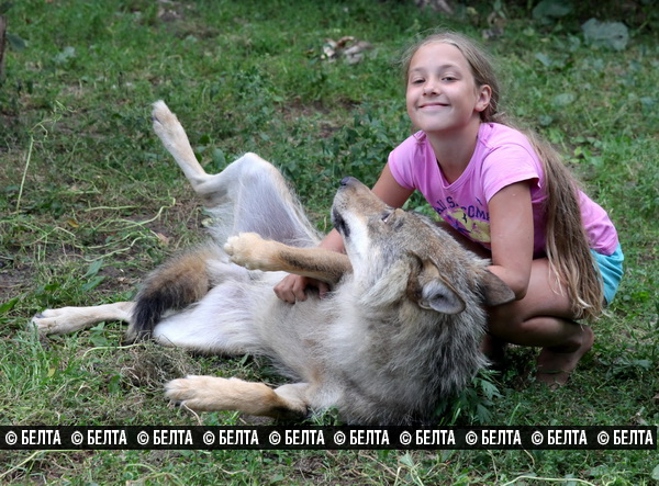 ab2dc077f4803540f53ce997df9a7c28.jpg