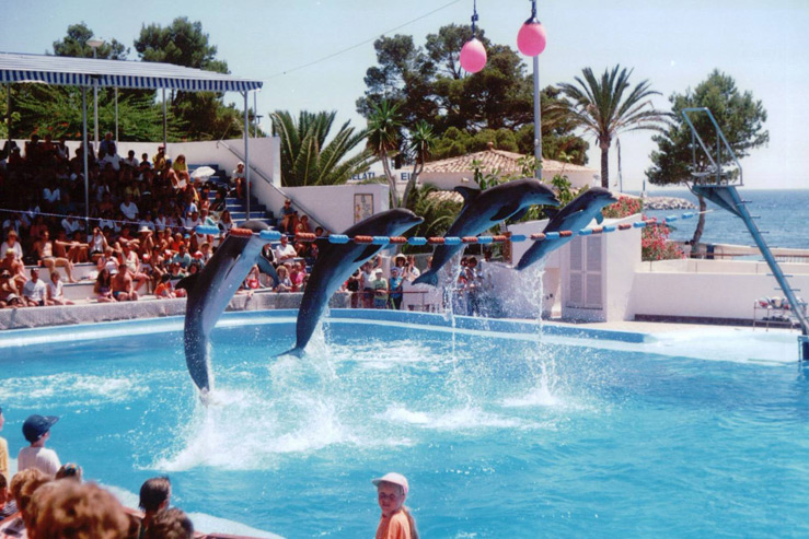 Аквапарк «Marineland Mallorca» Аквапарк «Marineland Mallorca»
