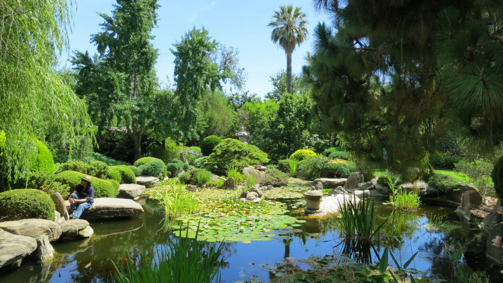 Ботанический сад Аделаида, Австралия