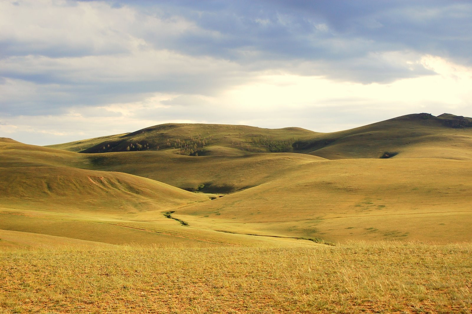 Сопки Монголии