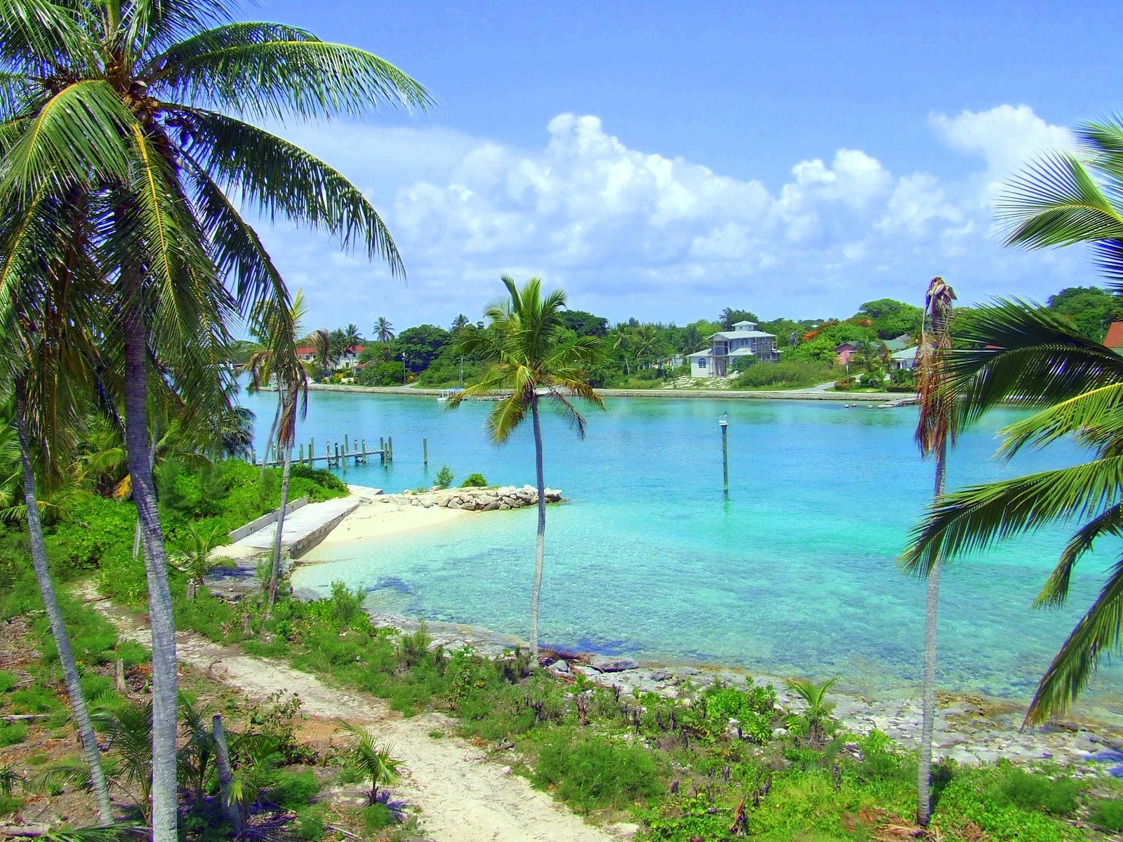 Багамские острова Флора багам