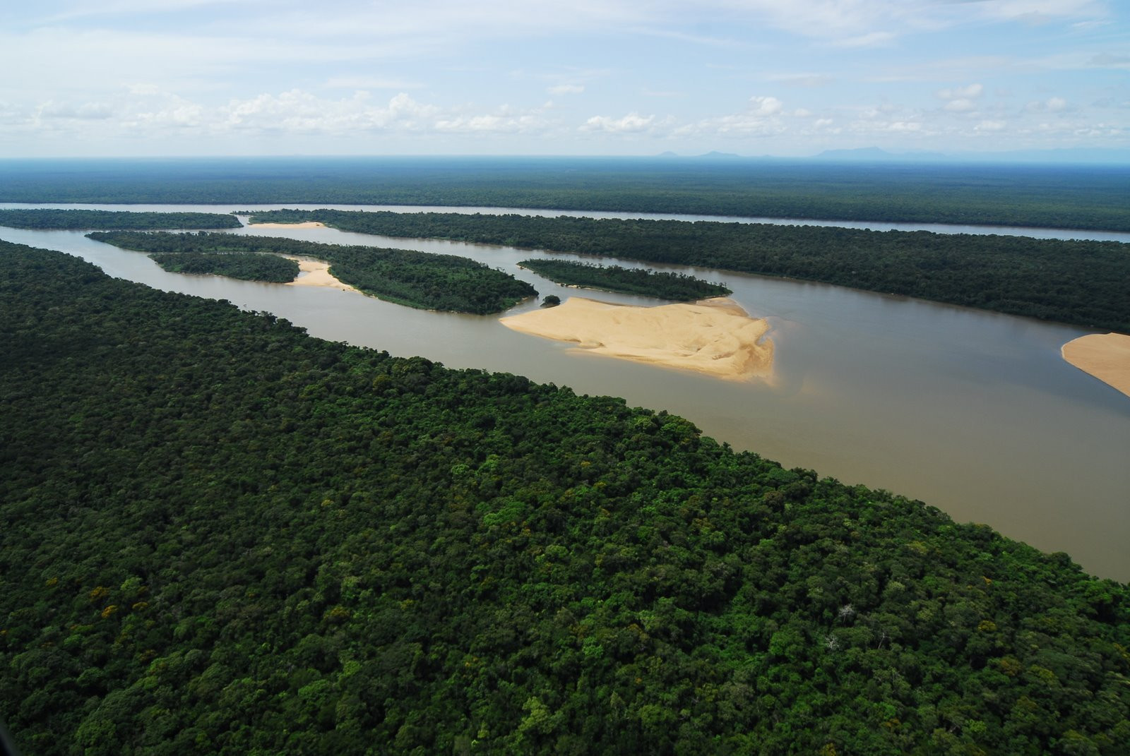 Манаус Бразилия Амазонка