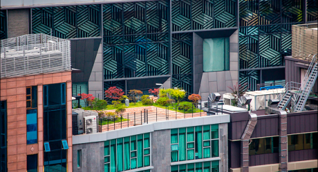 Власти Сеула оживляют бетонные джунгли города с помощью зеленой растительности