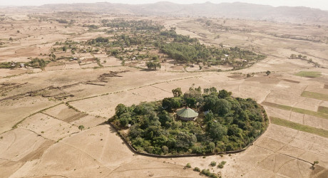 Священные церковные леса в Эфиопии – последние зелёные оазисы страны