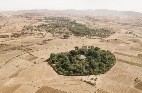 Священные церковные леса в Эфиопии – последние зелёные оазисы страны