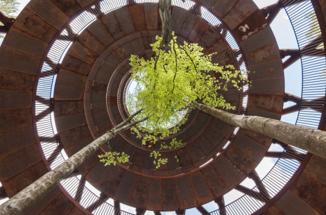 Уникальная смотровая башня в Дании без лифта и ступенек