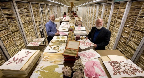 Хранилище Национального музея естественной истории в Вашингтоне