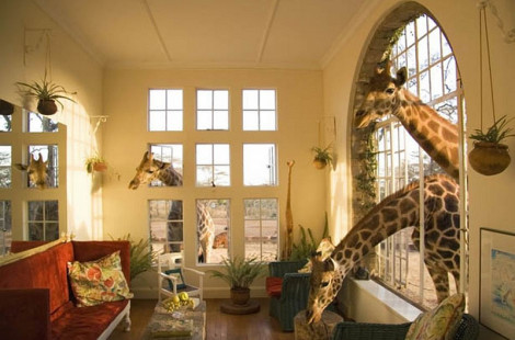 10 самых необычных отелей мира. Часть 2-я.