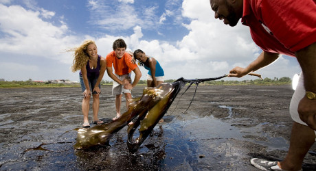 Необычное асфальтовое озеро Пич-Лейк
