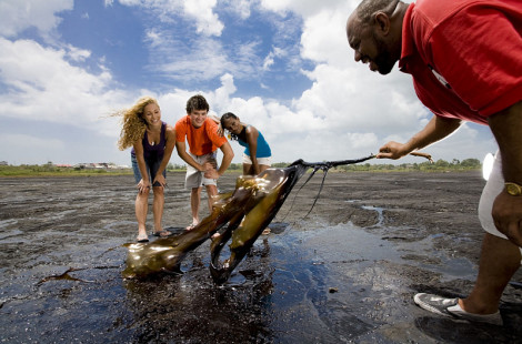 Необычное асфальтовое озеро Пич-Лейк