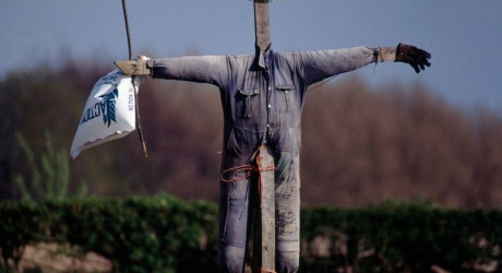 Чучела в Британии: чем они отличаются от наших?