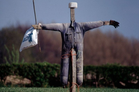 Чучела в Британии: чем они отличаются от наших?