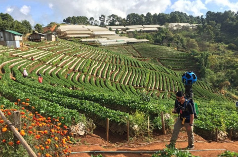 В Тайланде протестили удивительный рюкзак от Google Street View