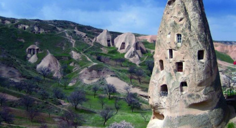 Дома в гармонии с природой