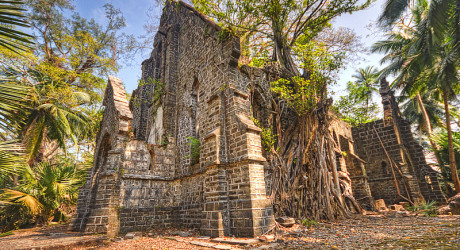 Остров Росс – руины бывшей исправительной колонии, поглощенные корнями деревьев