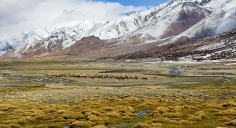 Уникальные национальные парки Индии