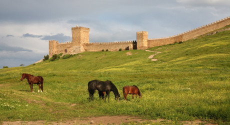 Что посмотреть с детьми в Судаке?