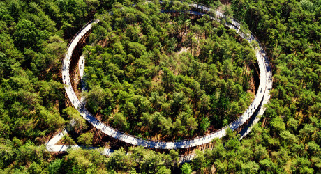 Необычная велодорожка в Бельгии