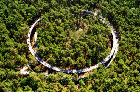 Необычная велодорожка в Бельгии