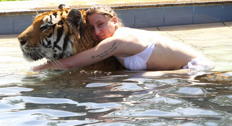 В бразильской семье живут домашние тигры