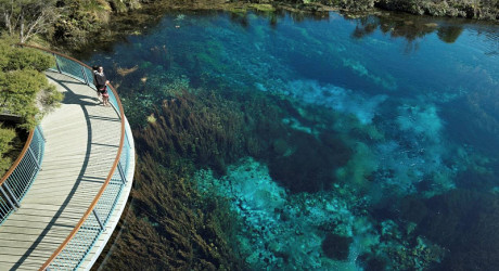 Голубое озеро в Новой Зеландии – самый чистый природный водоём в мире