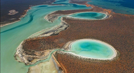 Уникальные гипсовые озёра в заливе Shark Bay в Австралии