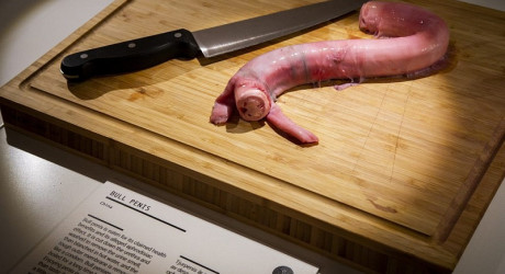 Необычный музей отвратительной еды в Швеции