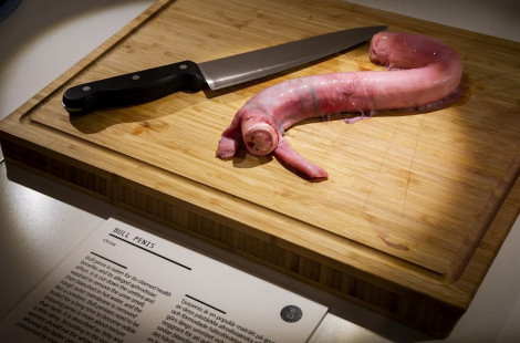 Необычный музей отвратительной еды в Швеции