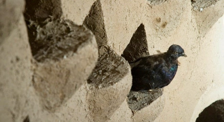 Иранские башни для голубей