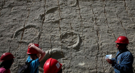 Cal Orcko — самая большая концентрация следов динозавров в мире