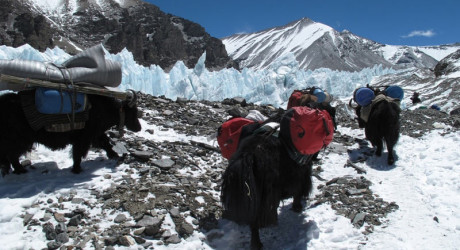 Самое дорогое 8-километровое путешествие
