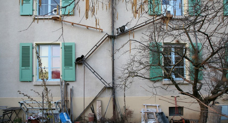 Кошачьи лестницы в городе Берн в Швейцарии