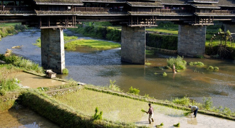 Мосты Дождя и Ветра – уникальное творение плотников Донг в Китае