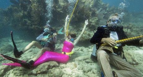 Lower Keys Music Festival - музыкальный фестиваль под водой