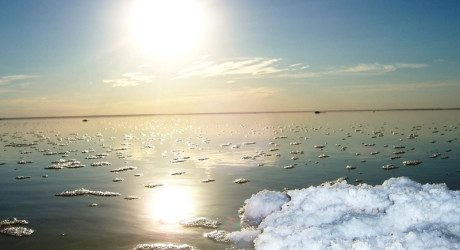 Солёное золотое дно озера Эльтон (Волгоградская область)