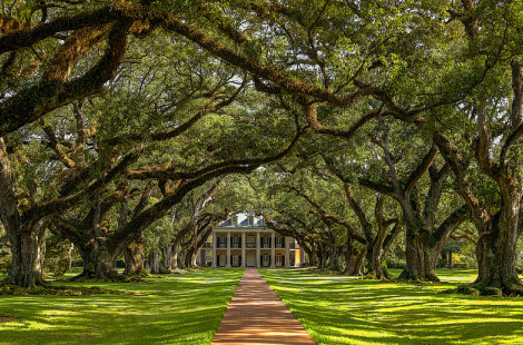 Уникальная плантация Дубовая Аллея в Луизиане