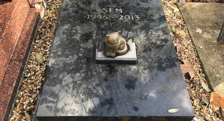 Кладбище собак в Париже: необычное место, где хранят память о питомцах