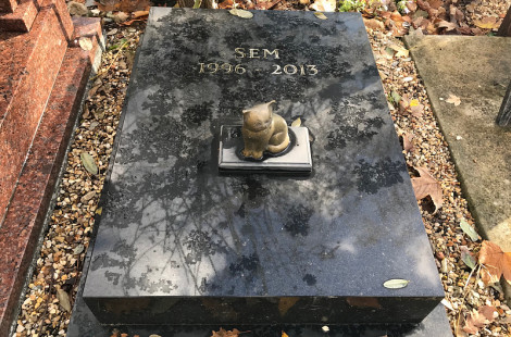 Кладбище собак в Париже: необычное место, где хранят память о питомцах