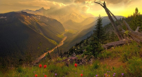 Золотые горы Алтая — Всемирное наследие ЮНЕСКО