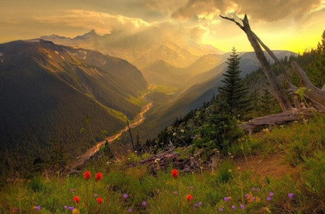 Золотые горы Алтая — Всемирное наследие ЮНЕСКО