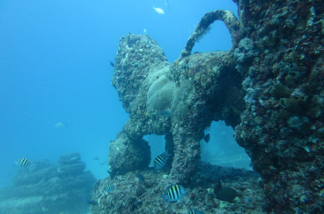 Кладбище дайверов «Подводный риф Нептуна»