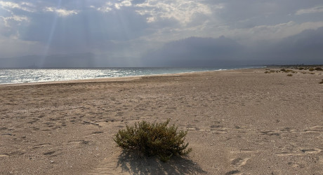 Пляж Кум Махаллеси — 32 фото, как добраться из Мерсина