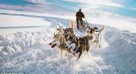 Рождественские каникулы в Лапландии за 125 000 евро