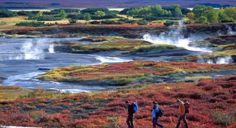 Волонтёрские программы в заповедниках России