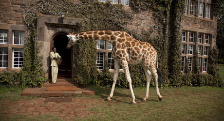 Необычные отели Африки – The Giraffe Manor