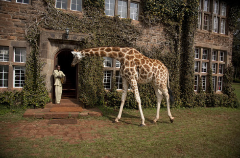 Необычные отели Африки – The Giraffe Manor