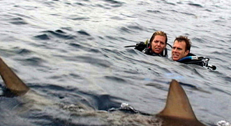 «Худший кошмар дайвера» или «История забытой в океане семейной пары»