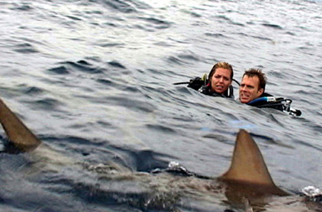 «Худший кошмар дайвера» или «История забытой в океане семейной пары»